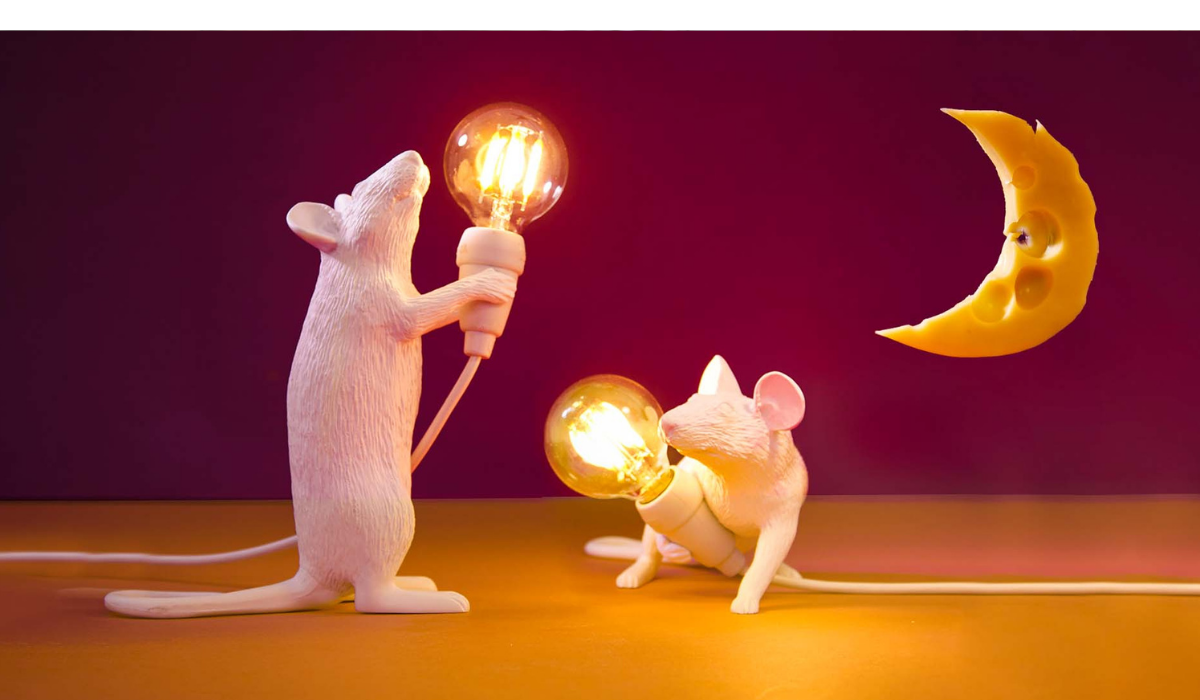 Top 10 Christmas Gift Selection